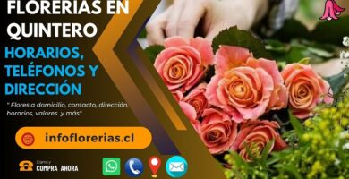 Florerías en Quintero