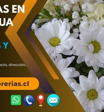 Florerías en Rancagua