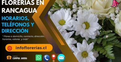 Florerías en Rancagua