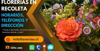 Florerías en Recoleta