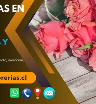 Florerías en Rengo