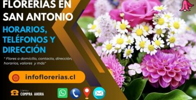 Florerías en San Antonio