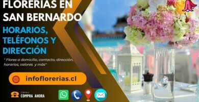 Florerías en San Bernardo