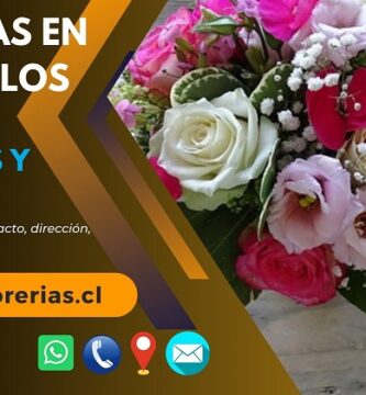 Florerías en San Carlos