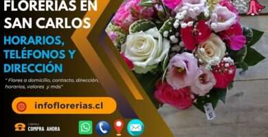 Florerías en San Carlos