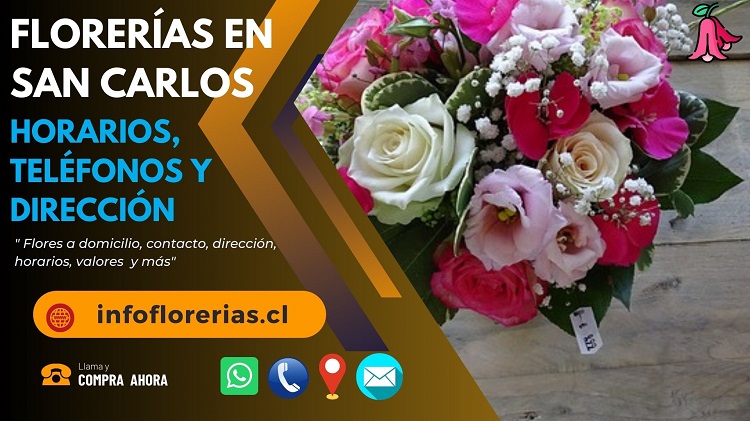 Florerías en San Carlos