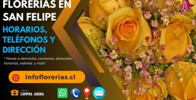 Florerías en San Felipe