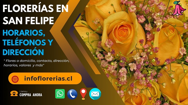 Florerías en San Felipe