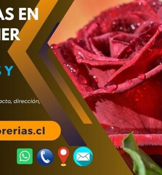 Florerías en San Javier