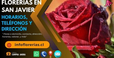 Florerías en San Javier