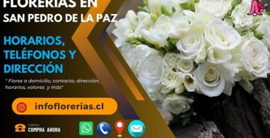 Florerías en San Pedro de la Paz
