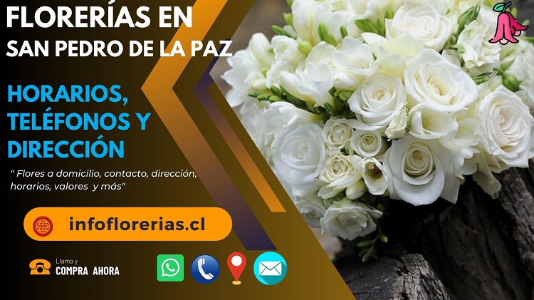 Florerías en San Pedro de la Paz