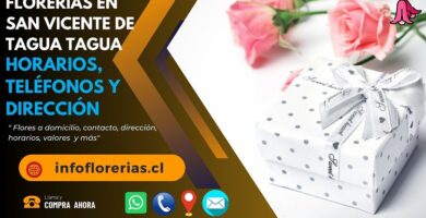 Florerías en San Vicente de Tagua Tagua