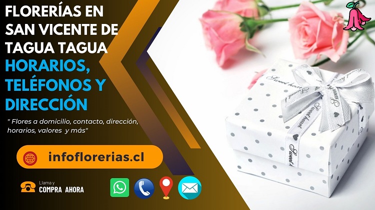 Florerías en San Vicente de Tagua Tagua