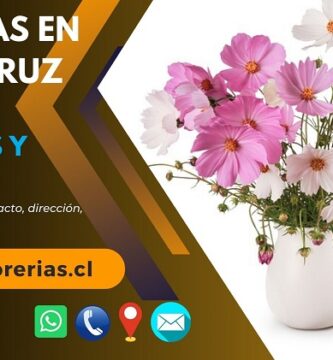 Florerías en Santa Cruz