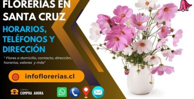 Florerías en Santa Cruz
