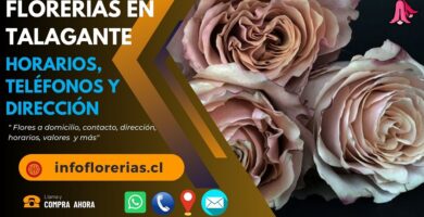 Florerías en Talagante