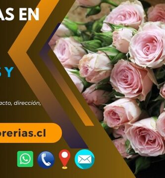 Florerías en Talca