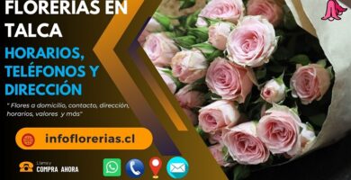 Florerías en Talca