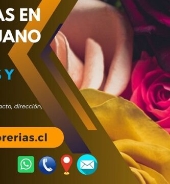Florerías en Talcahuano