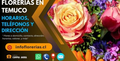 Florerías en Temuco