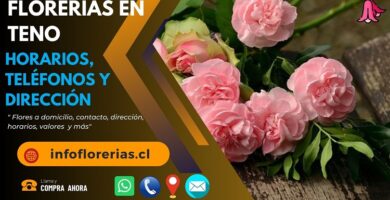 Florerías en Teno