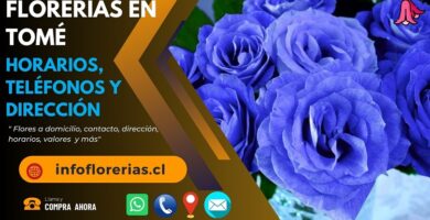 Florerías en Tomé