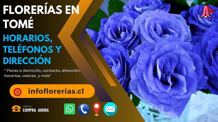 Florerías en Tomé