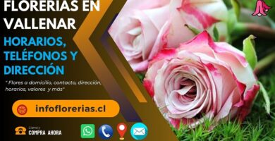 Florerías en Vallenar
