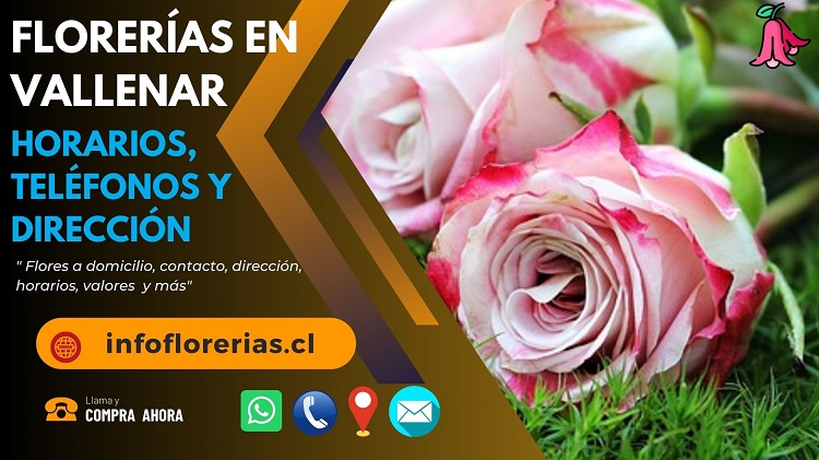 Florerías en Vallenar