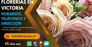 Florerías en Victoria