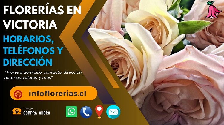 Florerías en Victoria