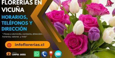 Florerías en Vicuña
