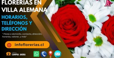 Florerías en Villa Alemana
