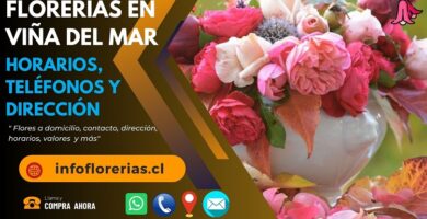 Florerías en Viña del Mar