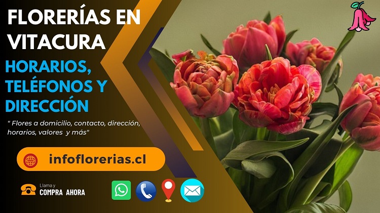 Florerías en Vitacura