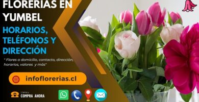 Florerías en Yumbel