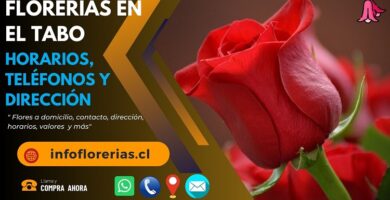 Florerías en el Tabo