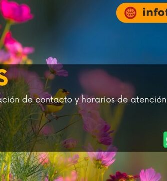 Flores