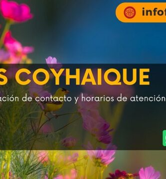 Flores Coyhaique