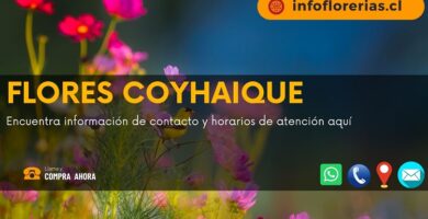 Flores Coyhaique