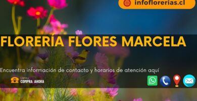 Flores Marcela