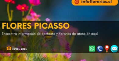 Flores Picasso