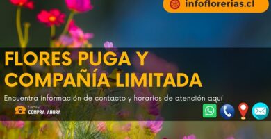 Flores Puga y Compañía Limitada