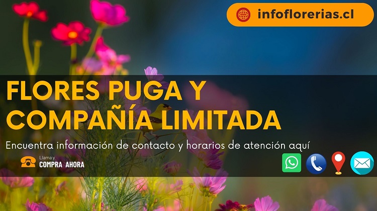 Flores Puga y Compañía Limitada
