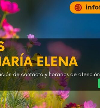 Flores Roa María Elena