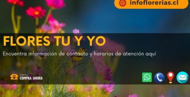 Flores Tu y Yo