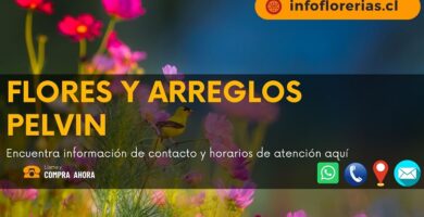 Flores y Arreglos Pelvin