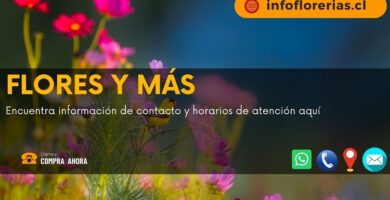 Flores y Más