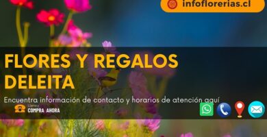 Flores y Regalos Deleita